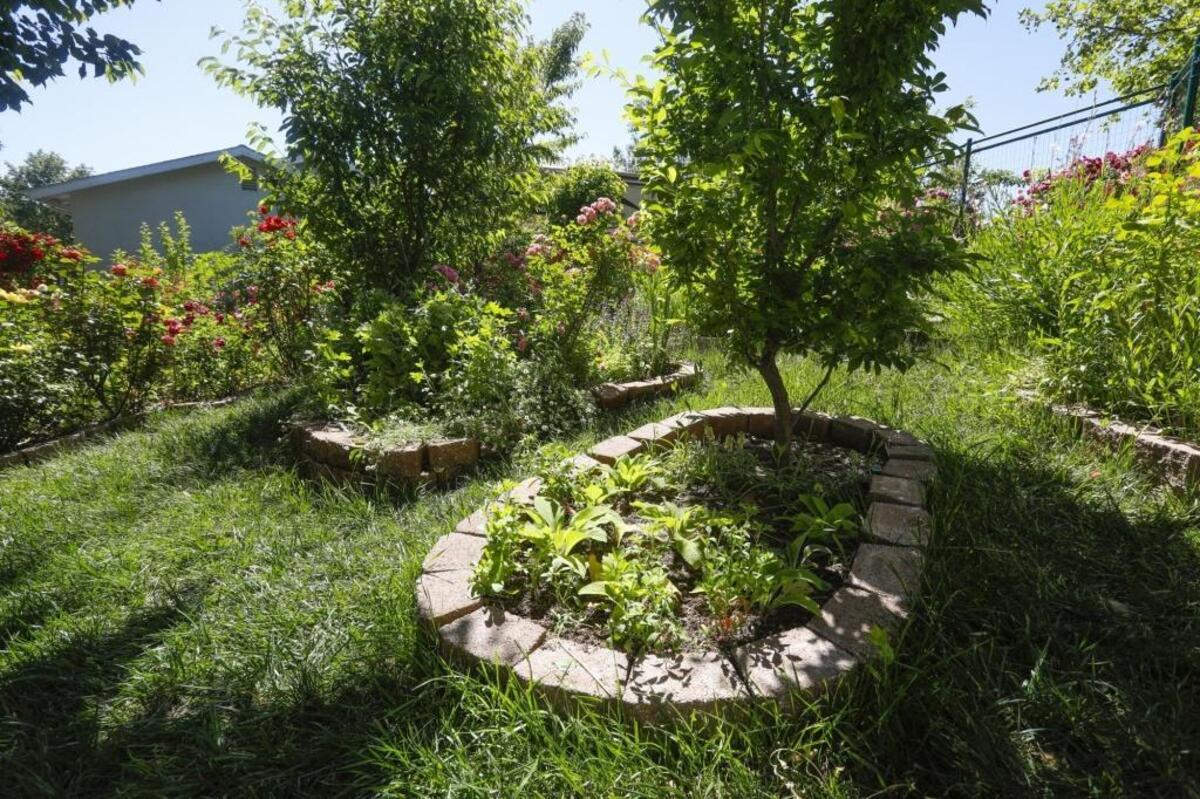 The side yard of Aurelia Wick’s Paso Robles garden contains many island planting beds.