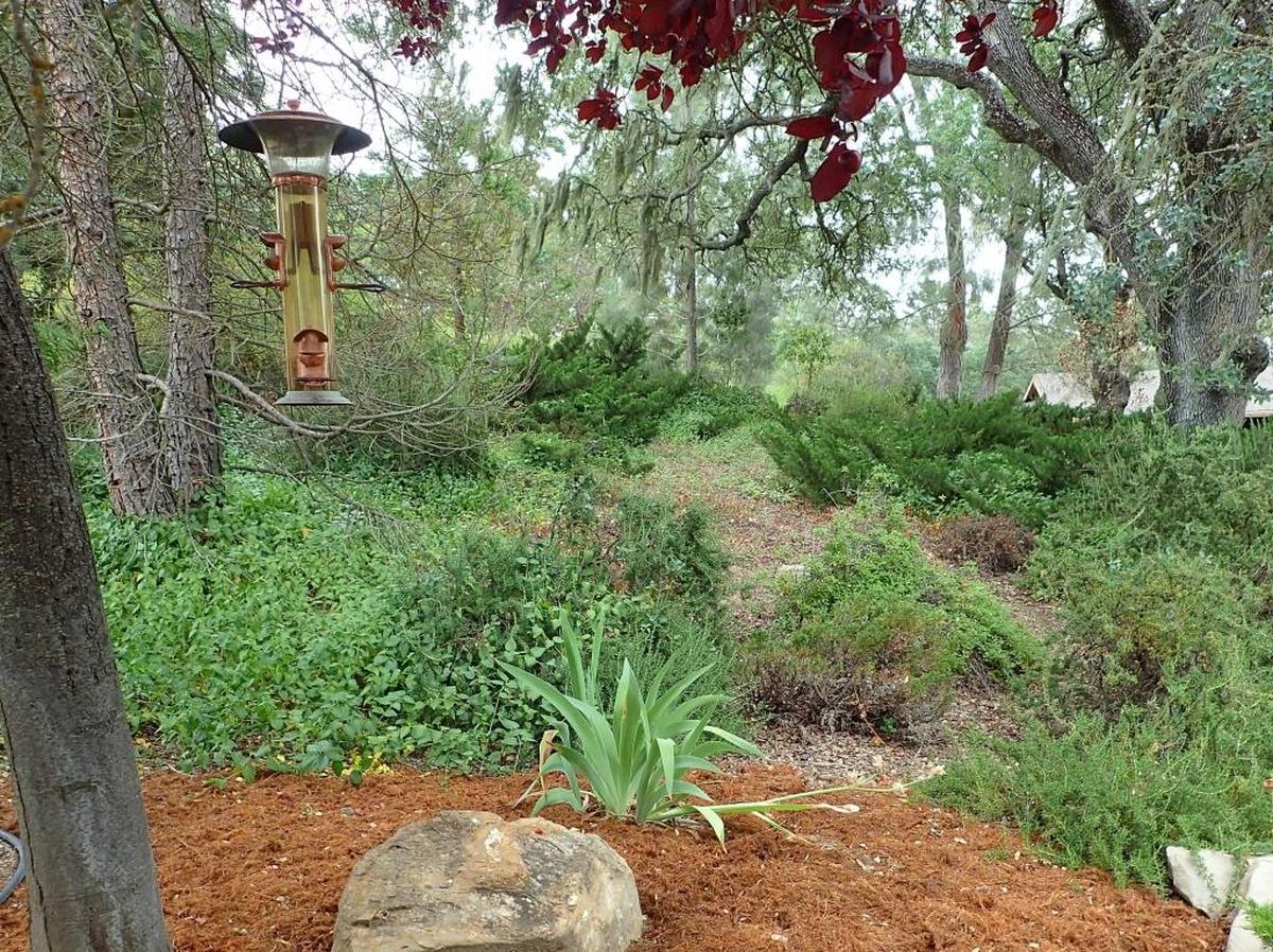 Teri DeGross’s former Paso Robles home features both landscaping and woodland.
