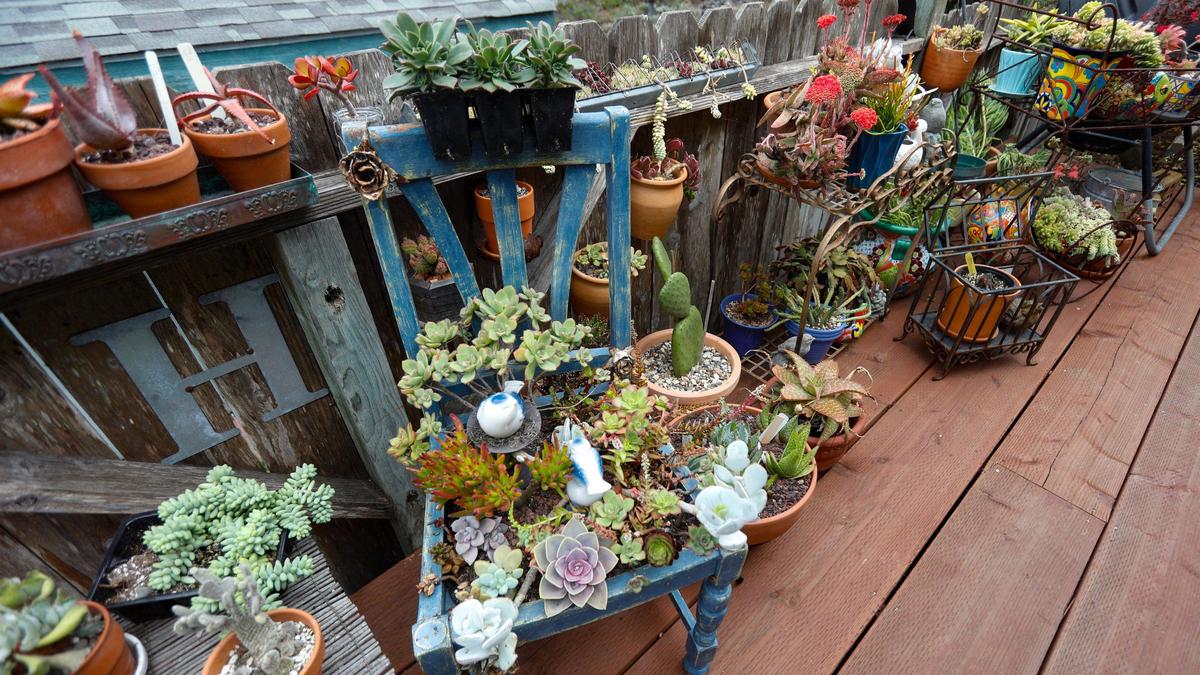 A chair is repurposed as a planter in Susie Hubbard’s Los Osos garden, which was featured on the Morro Bay AAUW garden tour in 2017.