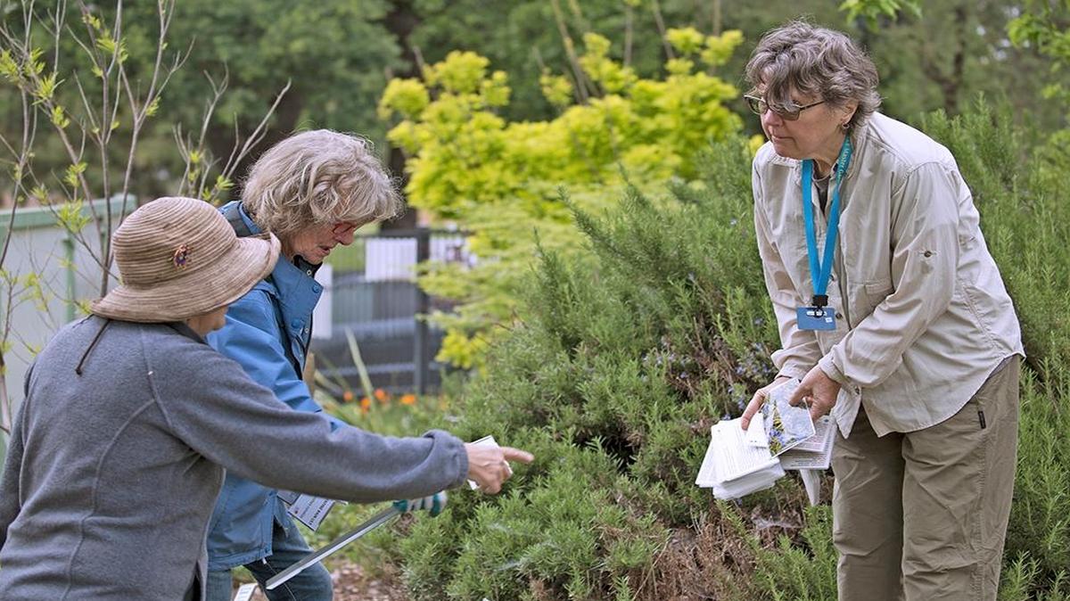 UCCE Master Gardeners of Sacramento County at the Fair Oaks Horticulture Center.