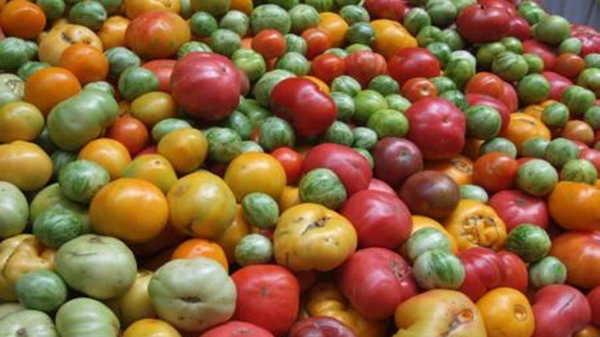 Heirloom tomatoes