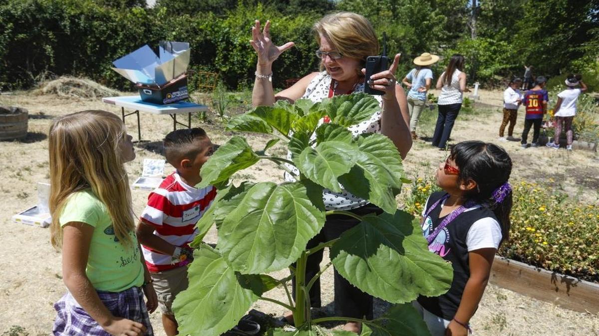 Virginia Peterson Elementary School Principal Melanie Crawford talks to students last June about photosynthesis in the sunflower plant. From left: Sausha Fair, 7; Jesus Ruiz, 7; and Jennifer Mendez, 8.