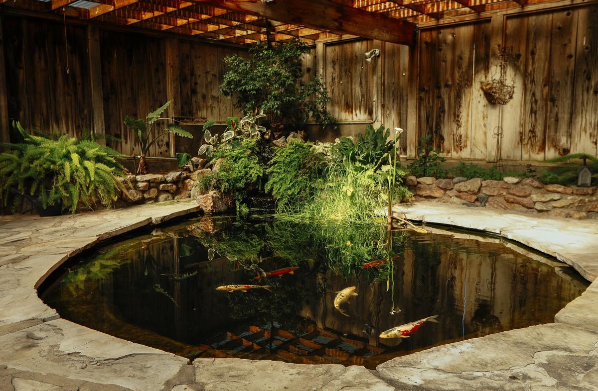 Gloria Fiscalini’s late husband, Floyd Cusumano, built a koi pond in her Cambria garden so she would have a spot to read.
