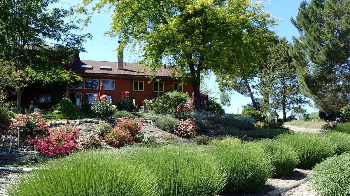Dave Synder’s Santa Margarita home is surrounded by beautiful low-water landscaping.