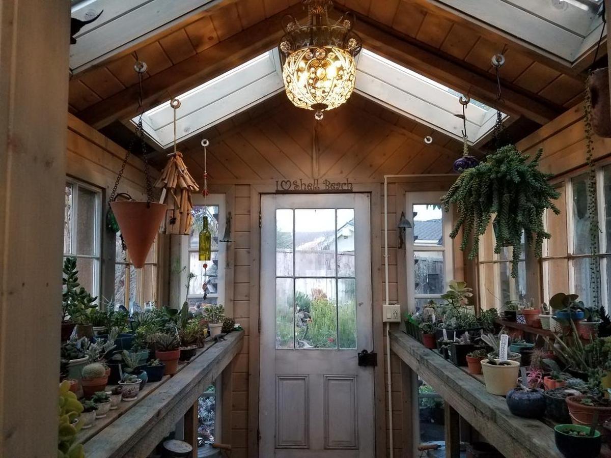 A wide collection of potted succulents and cacti fill Zoe Sunderland’s she-shed in Shell Beach.