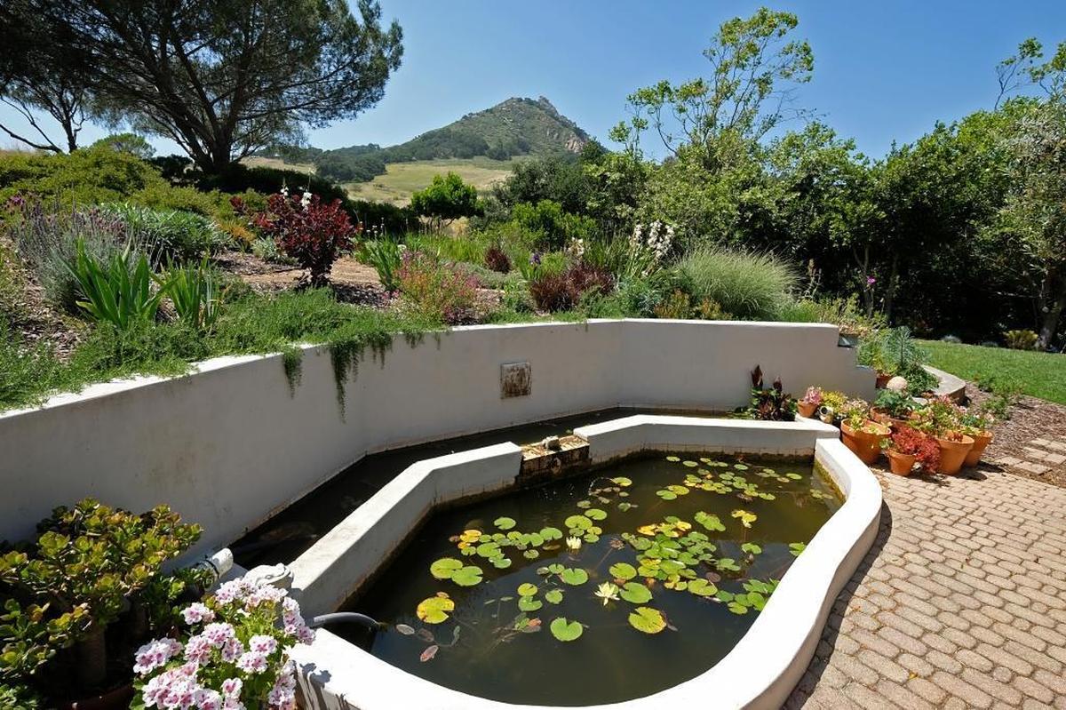 Bill and Sandee Beckers’ backyard features a fish pond and a deck with a view of Bishop Peak.