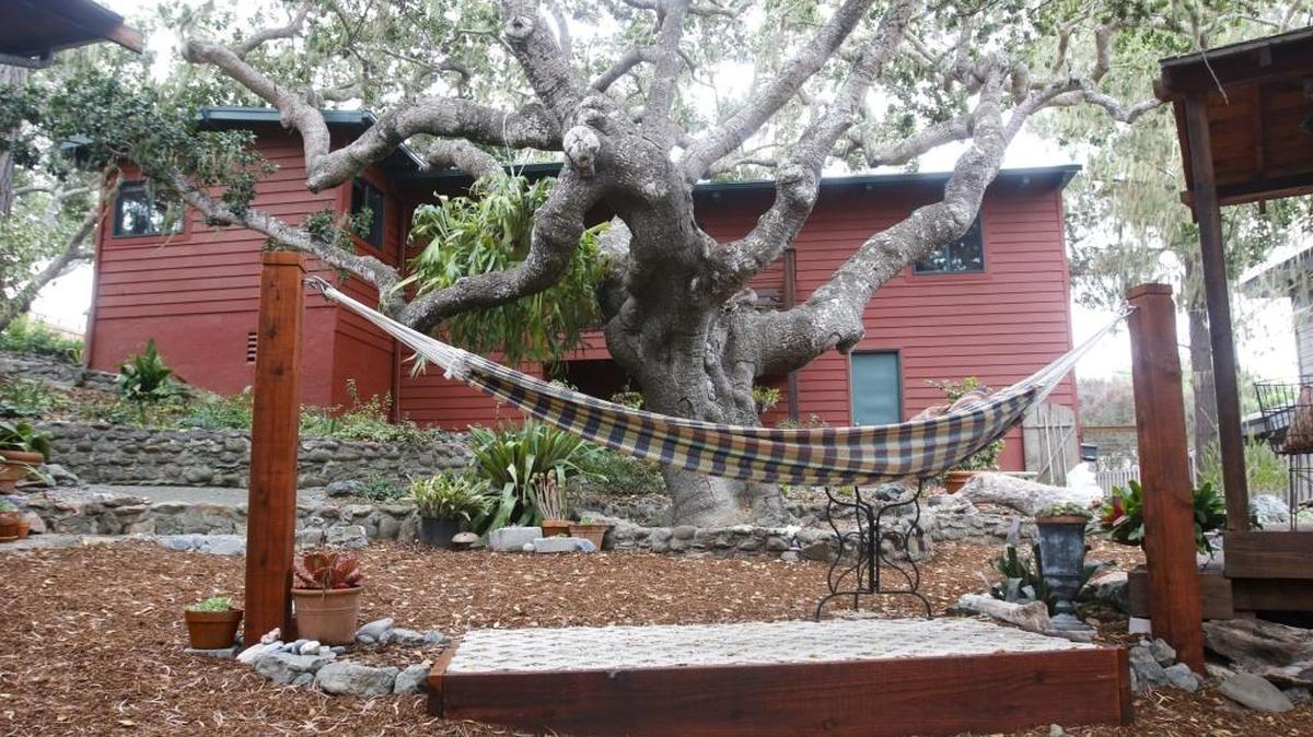 A garden hammock offers a relaxing place to enjoy an afternoon breeze.