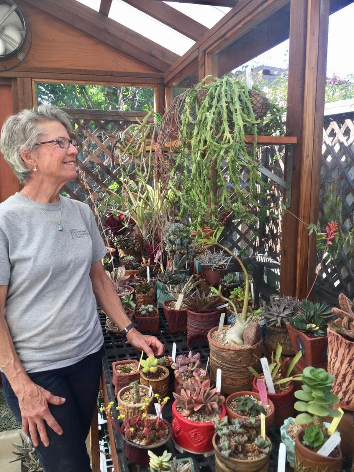 Mary Peracca stands with some of her many succulents.