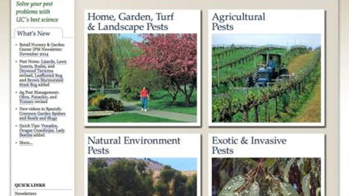 The UC IPM website (ipm.ucanr.edu) contains information on nearly 1,000 home and landscape pests.