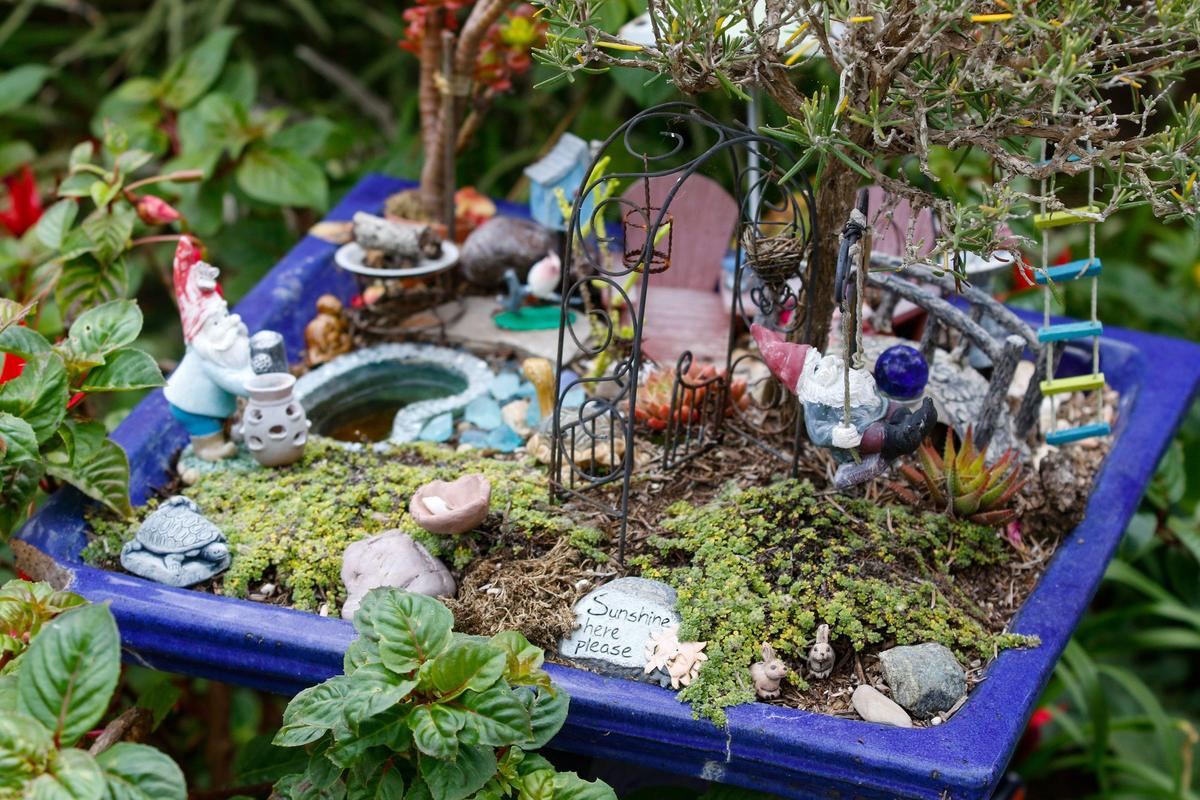 Gnome gardens change the scale of plantings. Susie Hubbard’s Los Osos garden was featured on the Morro Bay AAUW garden tour in 2017. 10-10-2018 David Middlecamp