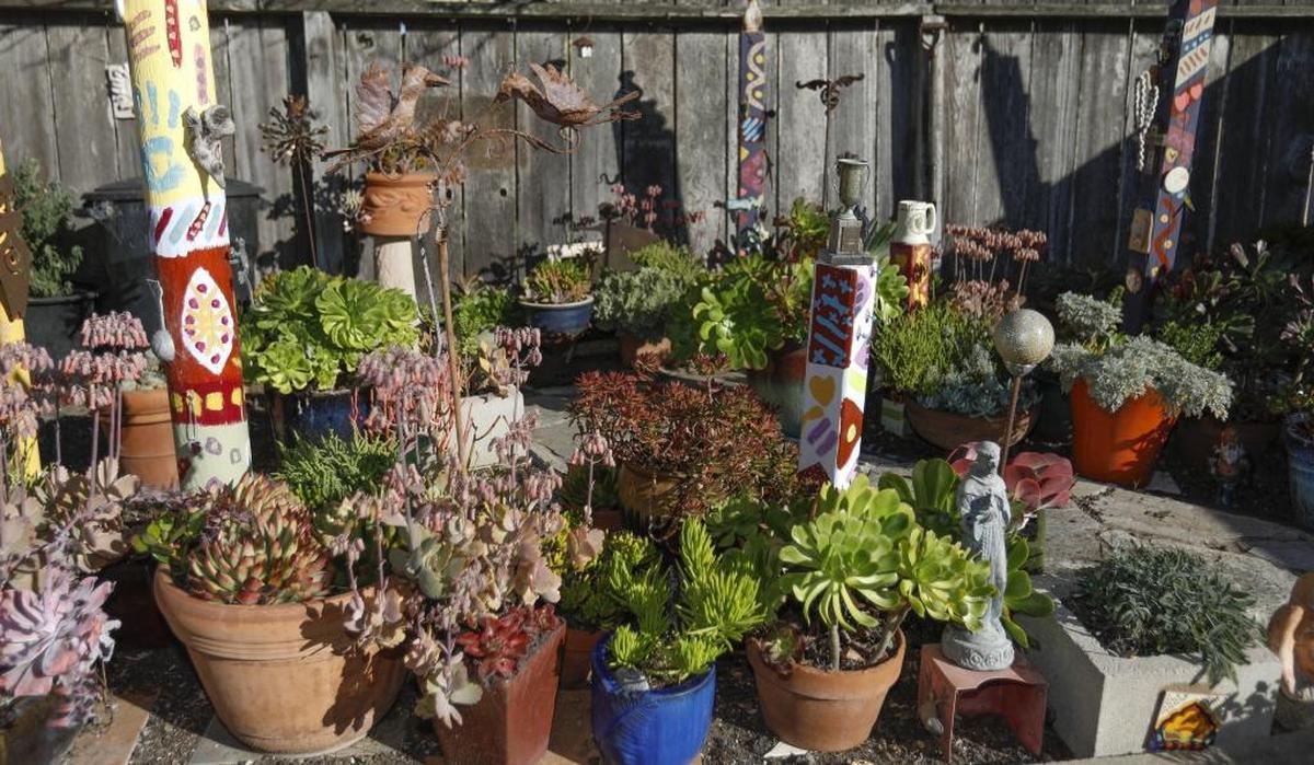 Wooden totem poles stand amid potted succulent plants in Ann Hodges’ garden in Los Osos.