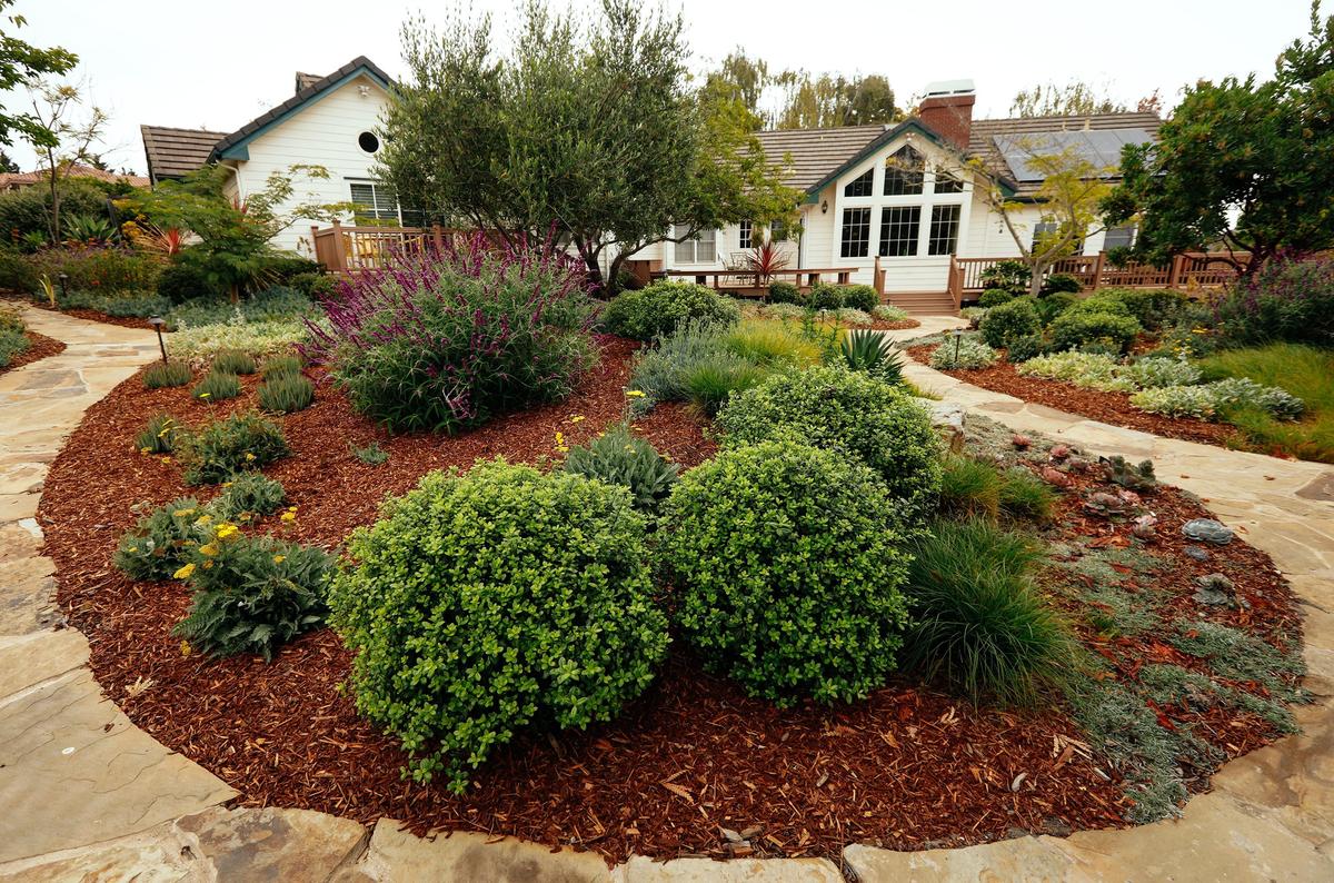 A stone pathway winds around gentle mounds in this Arroyo Grande garden, created by Purlieu Landscape Design + Build of San Luis Obispo.