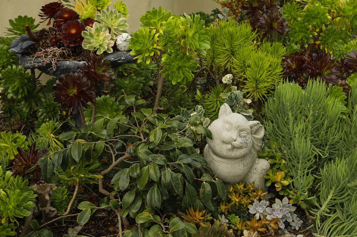 A cat sculpture sits amid succulents and other plants in Warren and Vanessa Fujimoto's San Luis Obispo garden.