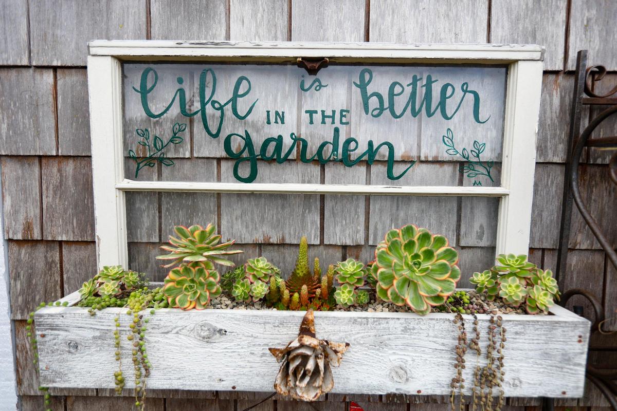 Susie Hubbard’s Los Osos garden was featured on the Morro Bay AAUW garden tour in 2017.