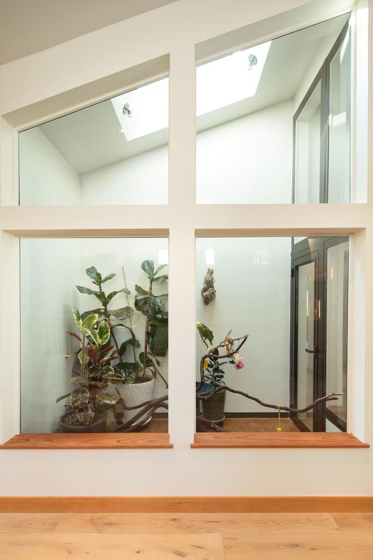 The new home features an aviary in the great room, surrounded in thick, laminated glass for soundproofing.