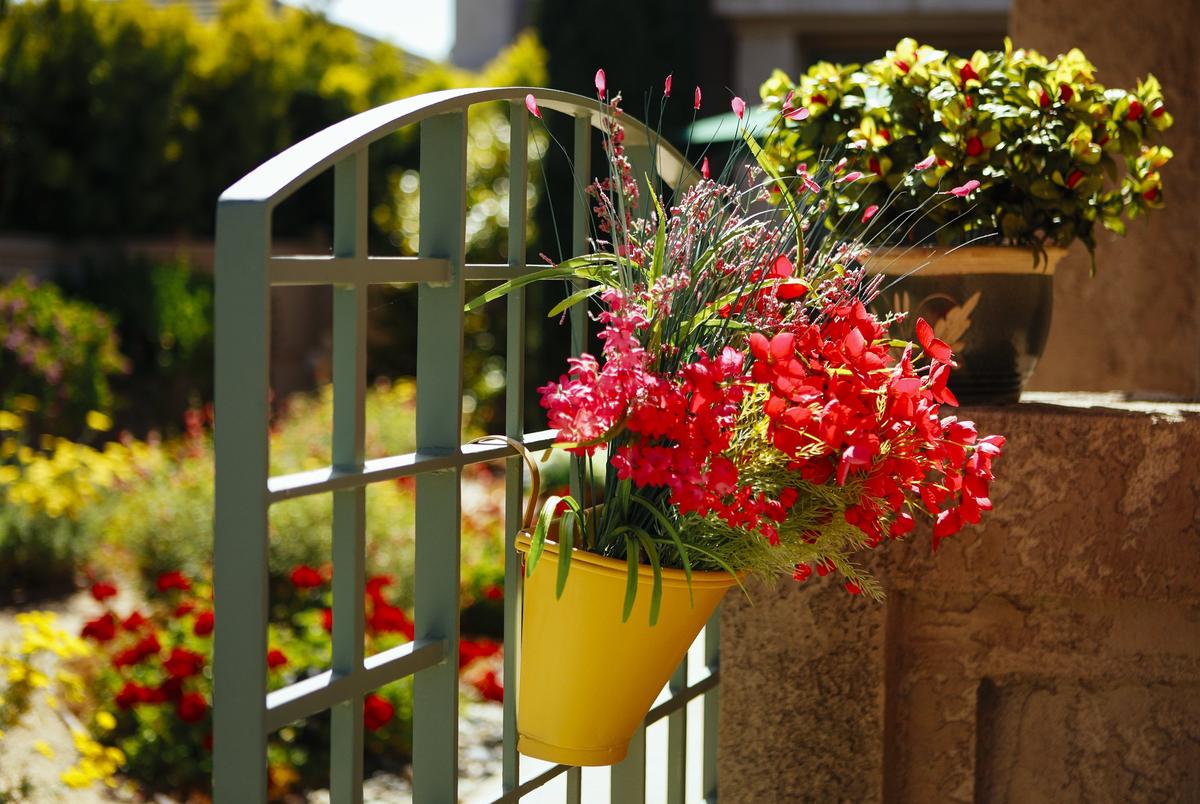 Jake and Sharyn Schaffer's colorful San Luis Obispo garden is brimming with personality.