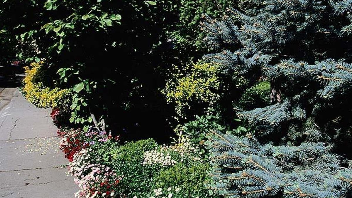 Grey water can work well for irrigating home landscapes.