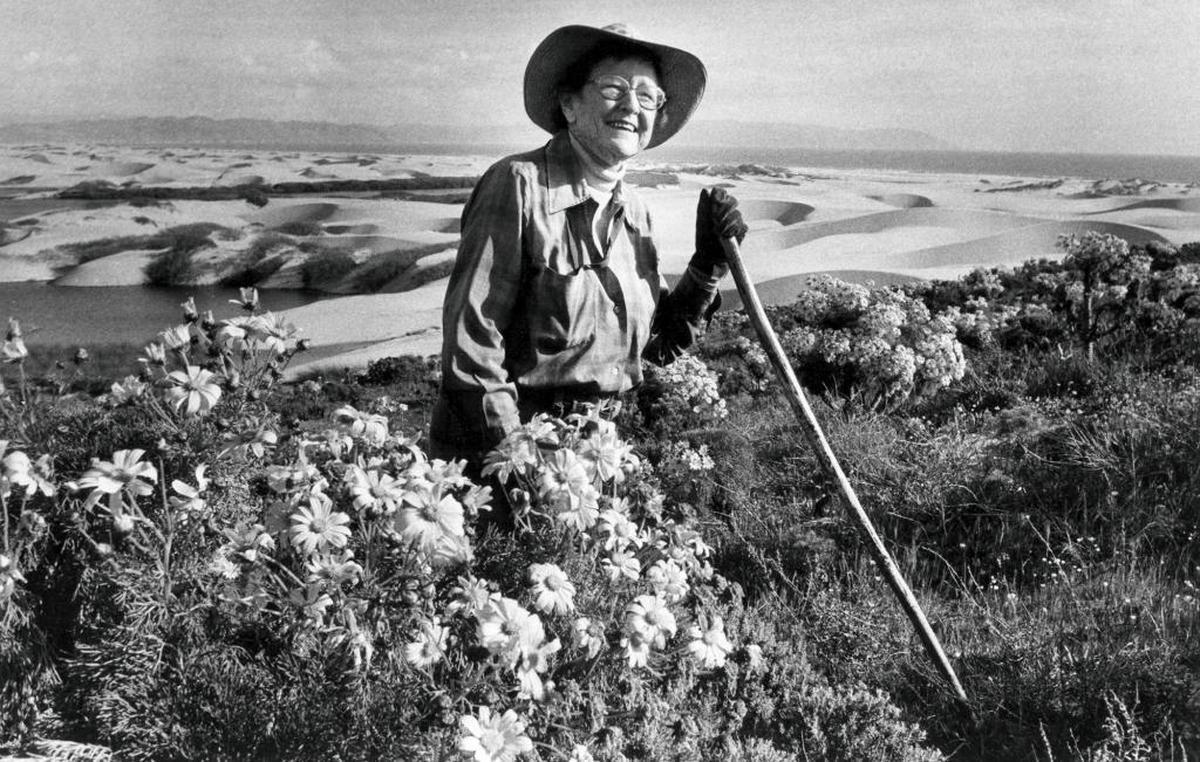 Kathleen Goddard Jones stands with coreopsis flowers at the Guadalupe Dunes near Oso Flaco Lake in 1985.