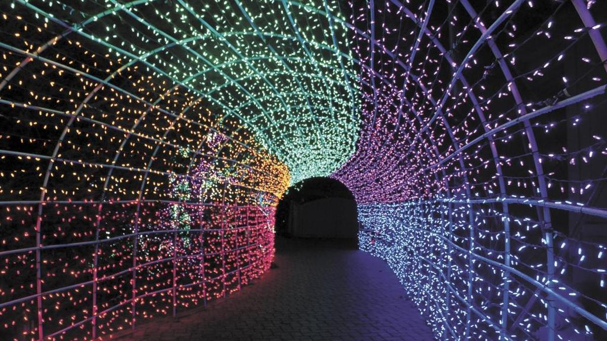 The Cambria Christmas Market’s famous tunnel of lights.