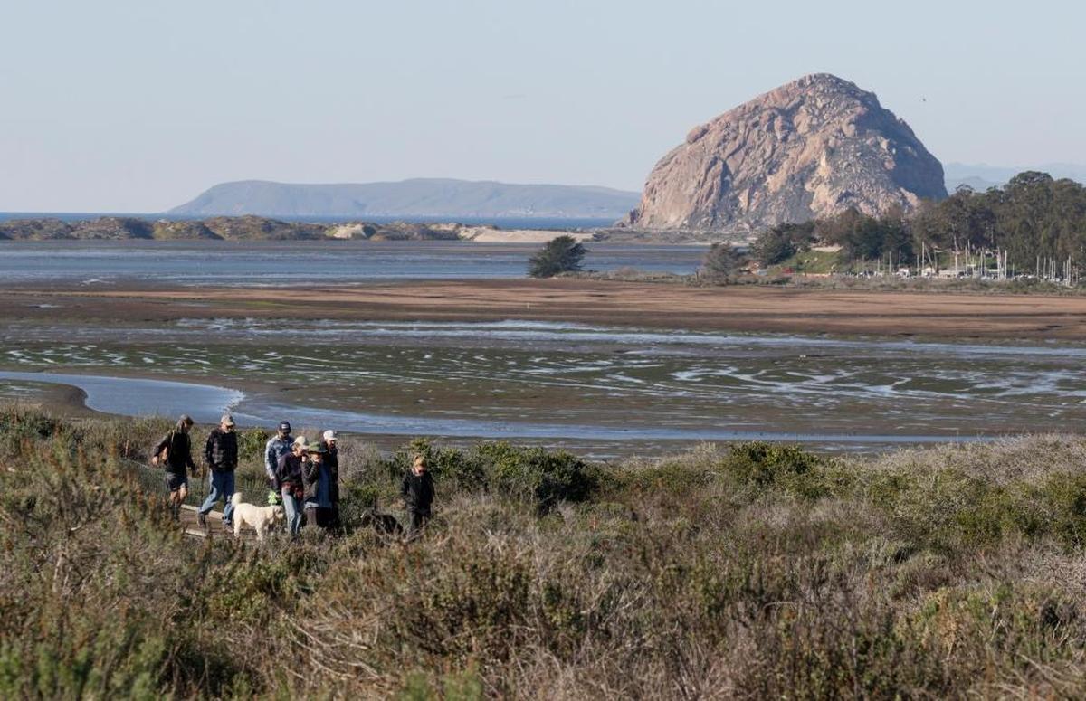 Elfin Forest in Los Osos.
