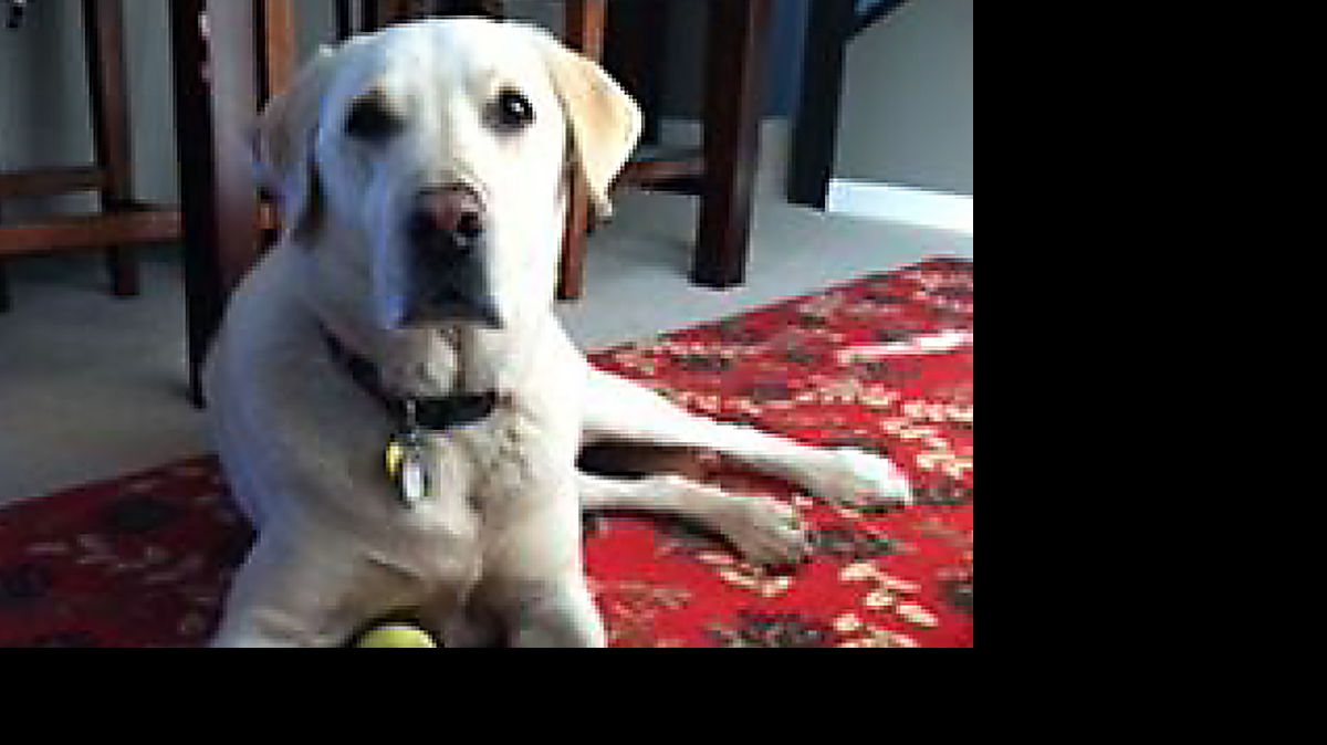 Michael and Sammy Pineau of San Luis Obispo are donating $100,000 to Woods Humane Society in memory of their dog Jake, pictured above.