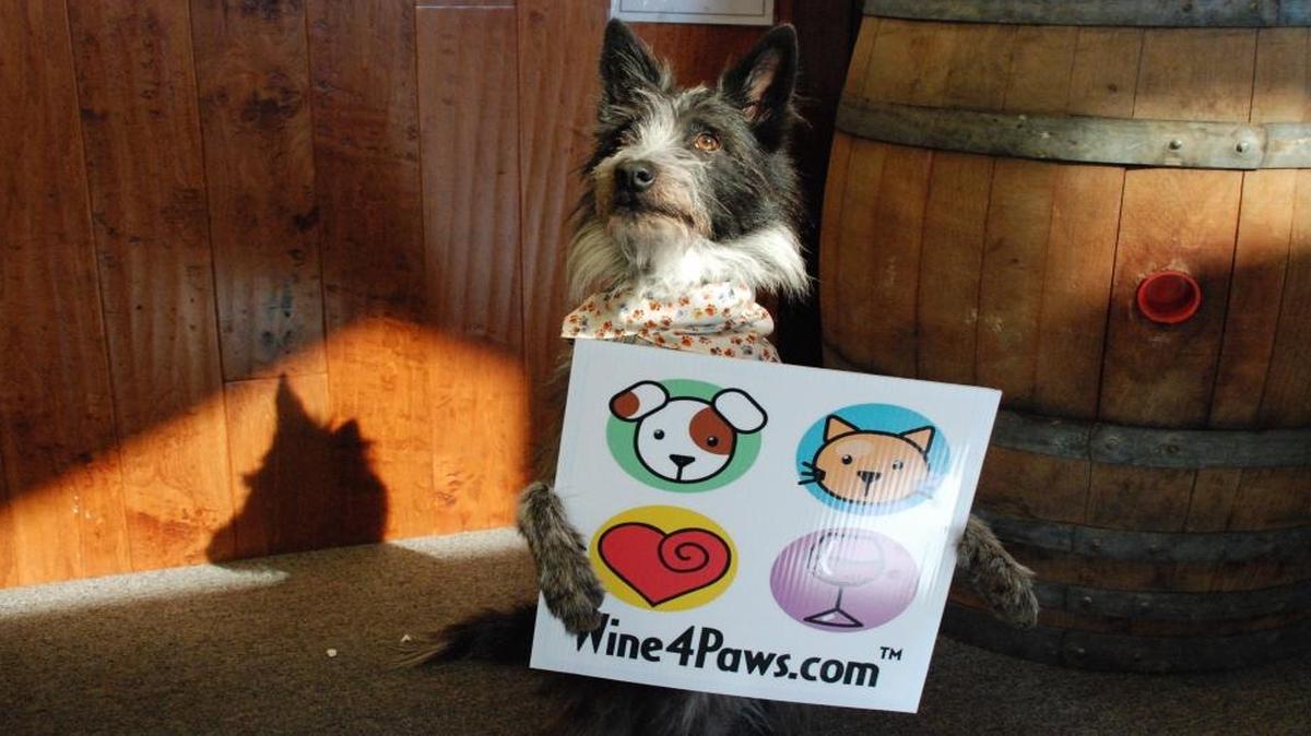 The ninth annual Wine 4 Paws event benefiting Woods Humane Society is set for Saturday and Sunday, April 8 and 9, 2017. More than 70 San Luis Obispo County wineries are participating.