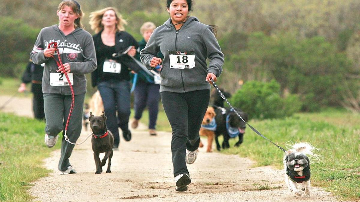 Miriam Reimund, front, runs through Lawrence Moore Park during the Paso Robles Dog Jog in 2011. This year, the course will take participants through Vina Robles’ vineyard.