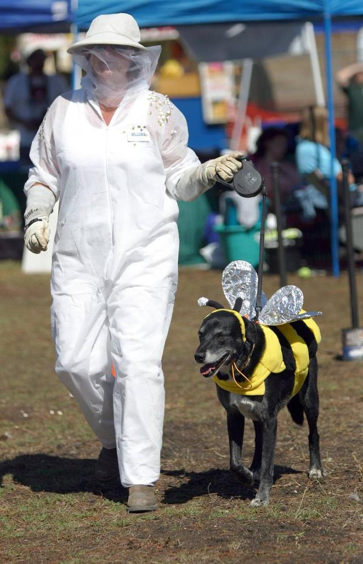 Melanie Long is dressed as a beekeeper with Lexie, a Labrador mix, dressed as a bumblebee during the costume contest at the 2012 Wiggle Waggle Walk in San Luis Obispo. Woods Humane Society will host the Wiggle Waggle Fall Festival on Saturday, Oct. 29, 2022.