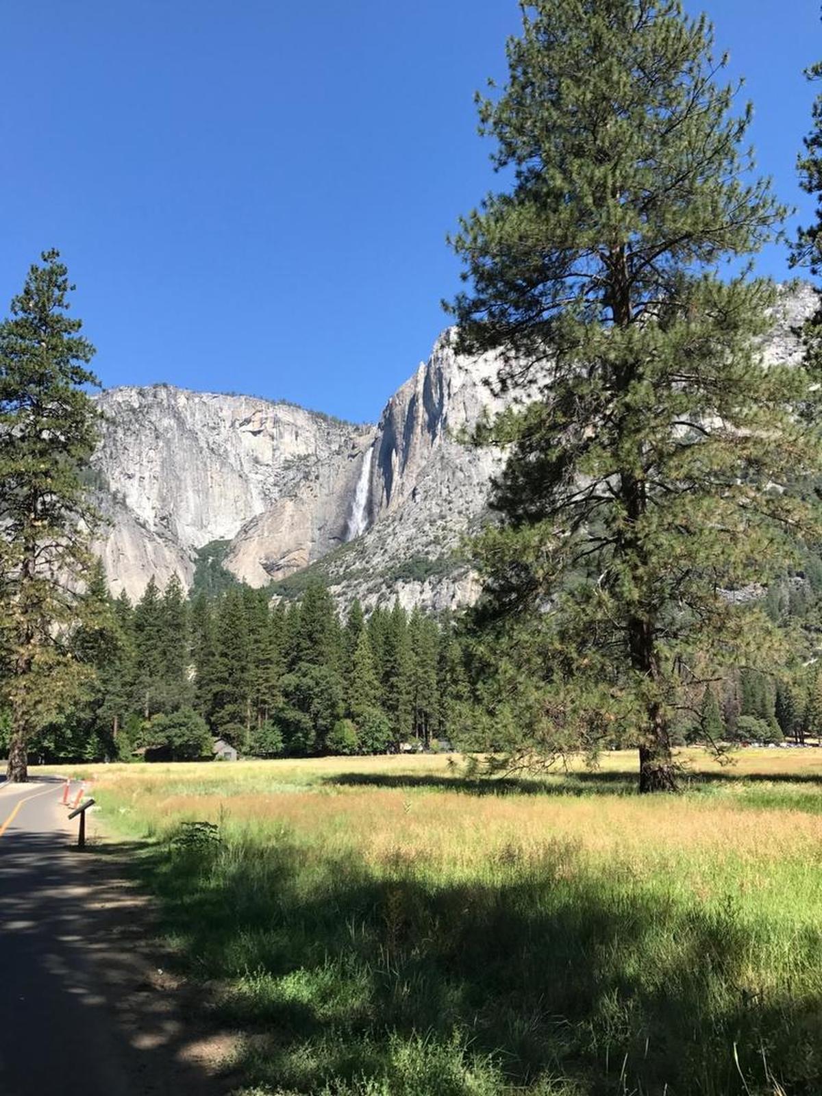 The mostly level Yosemite Valley Loop Trail runs through meadows on the floor of the Yosemite Valley in Yosemite National Park. Open year-round, the trail offers views of Yosemite Fall and other iconic features of the park, which was established in 1890.