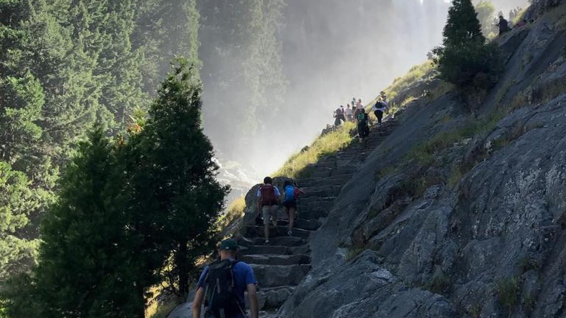 These CA plants are harmful to humans and pets, expert says. What to look out for