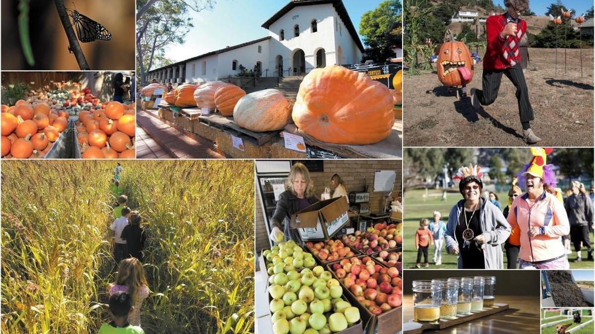 Fall is a great time for fun in San Luis Obispo County.