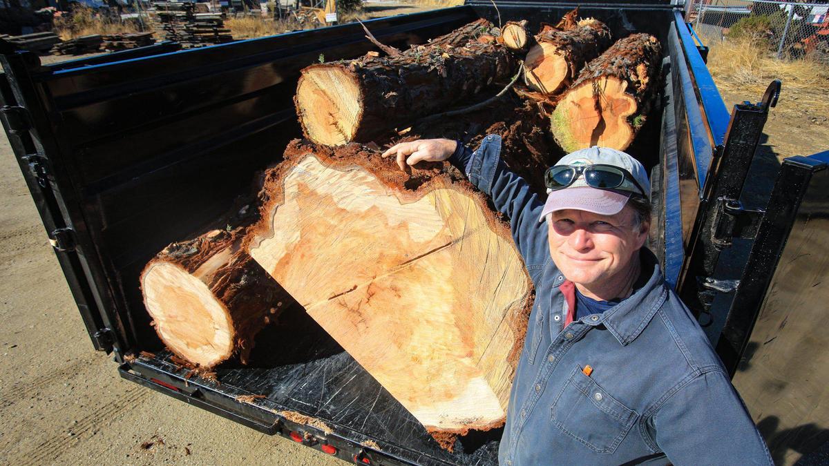 Sean O’Brien, owner of Pacific Coast Lumber, stands beside a trailer full of coast redwood logs harvested in Nipomo from a house expansion. He mills urban forest lumber that would otherwise be treated as waste.