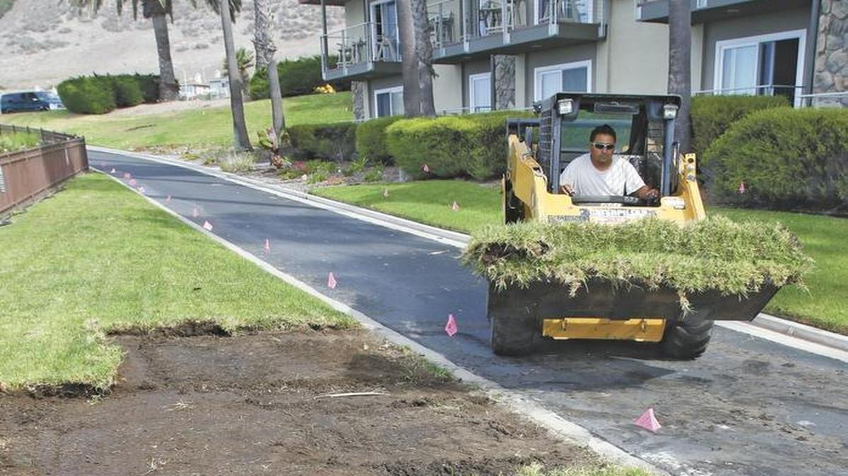 Moses Lopez removes turf in October at the Inn at the Cove in Pismo Beach. The hotel removed the lawn and replaced it with more drought-tolerant landscaping.