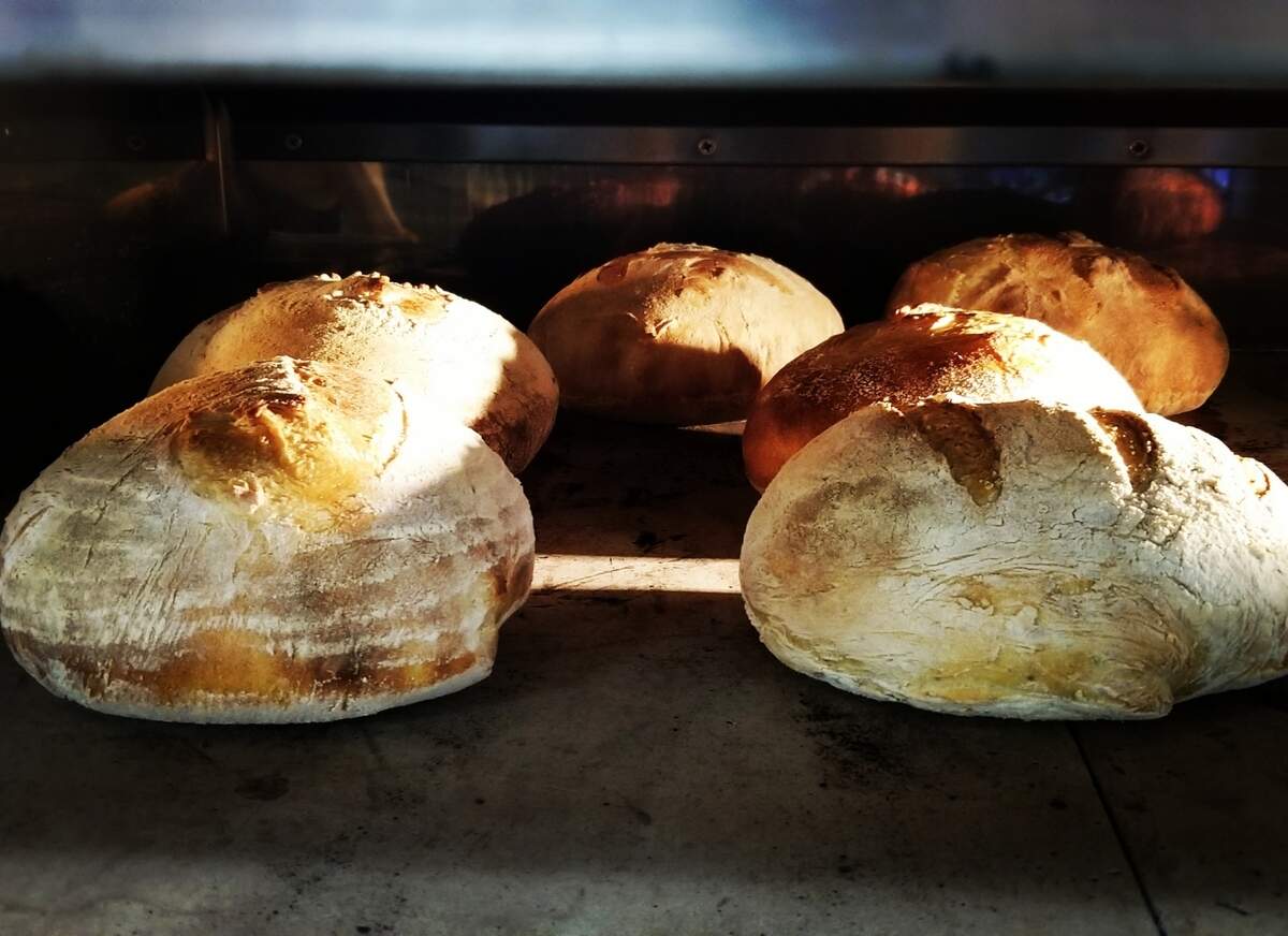 Breads from Joliene Bakery in San Luis Obispo.