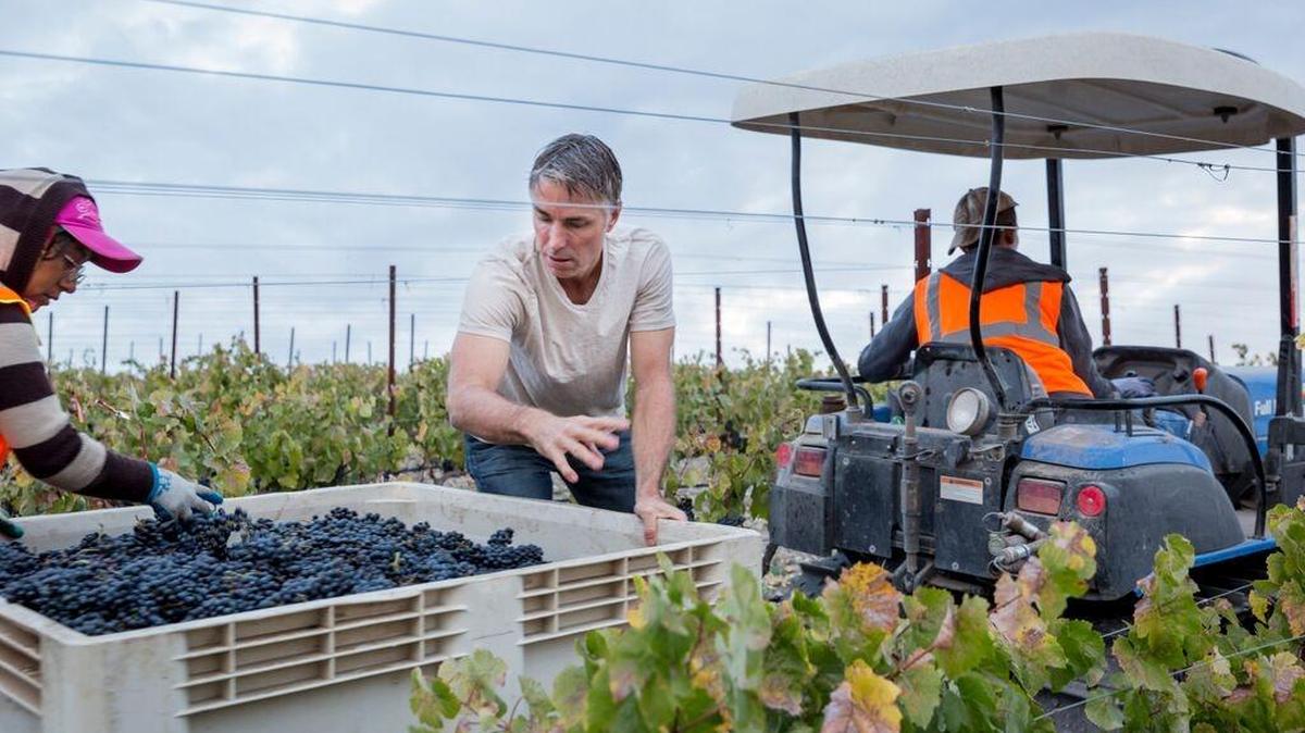 Owner and winemaker Eric Jensen during Booker Vineyard’s harvest this year.