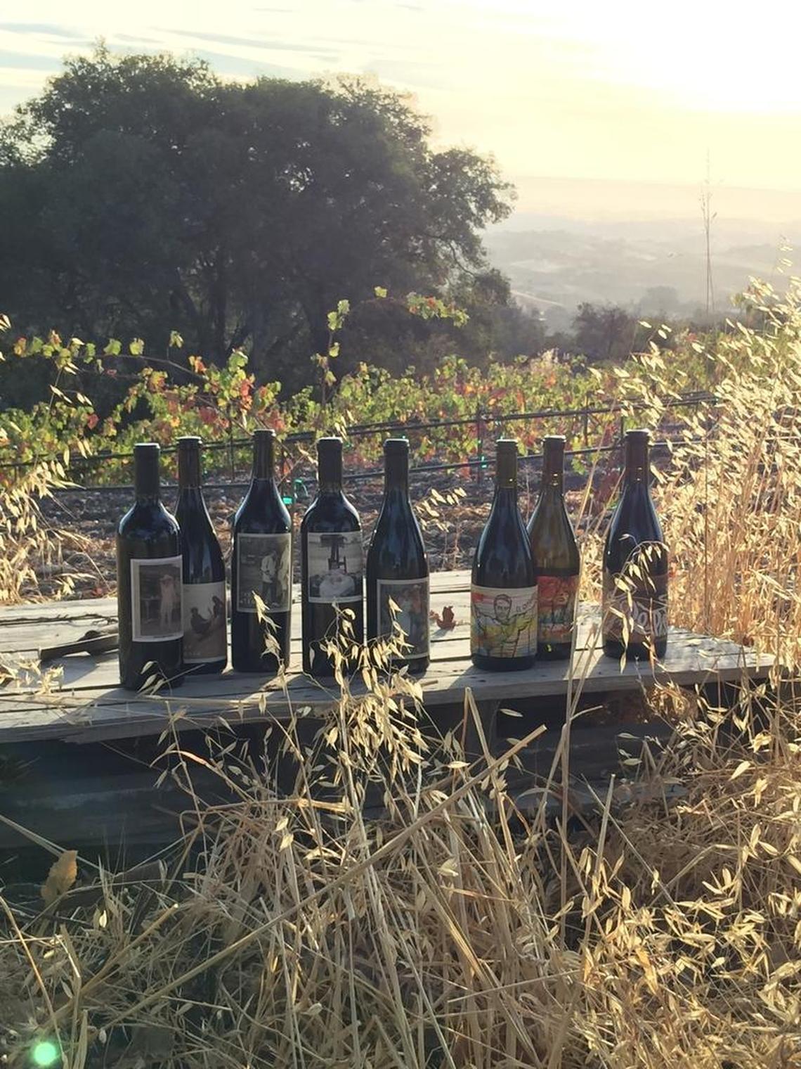 Some of the wines produced by Edgar Torres.