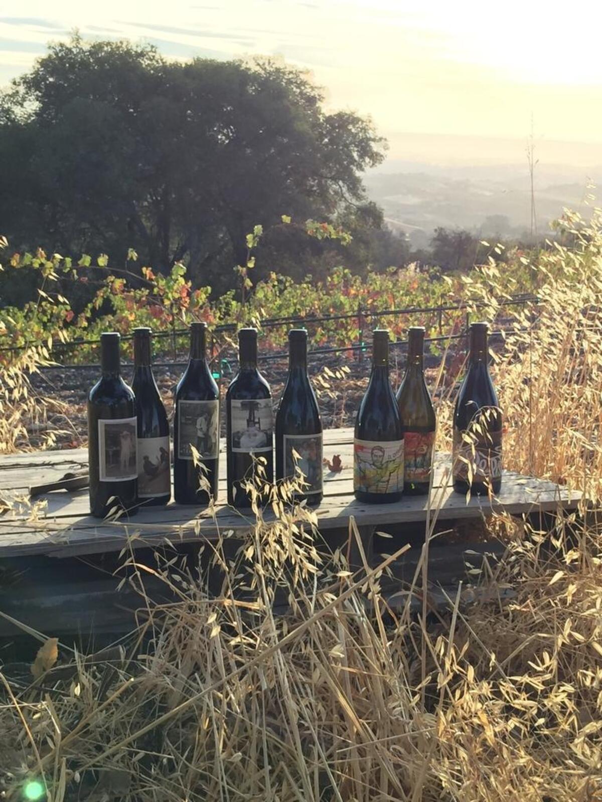 Some of the wines produced by Edgar Torres.