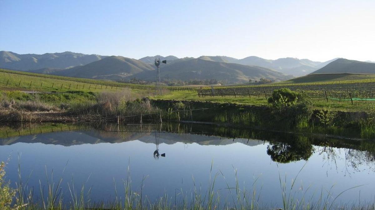 Wolff Vineyards of Edna Valley was recognized with a Business of the Year award at the CoolCalifornia Small Business Awards. The award honors small businesses that implement climate-smart strategies.