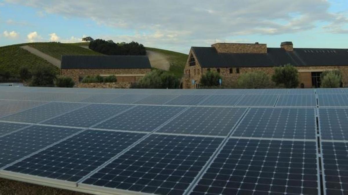 The solar array at Niner Wine Estates provides all the energy needed to power the tasting room, winery, restaurant and water-reclamation system.