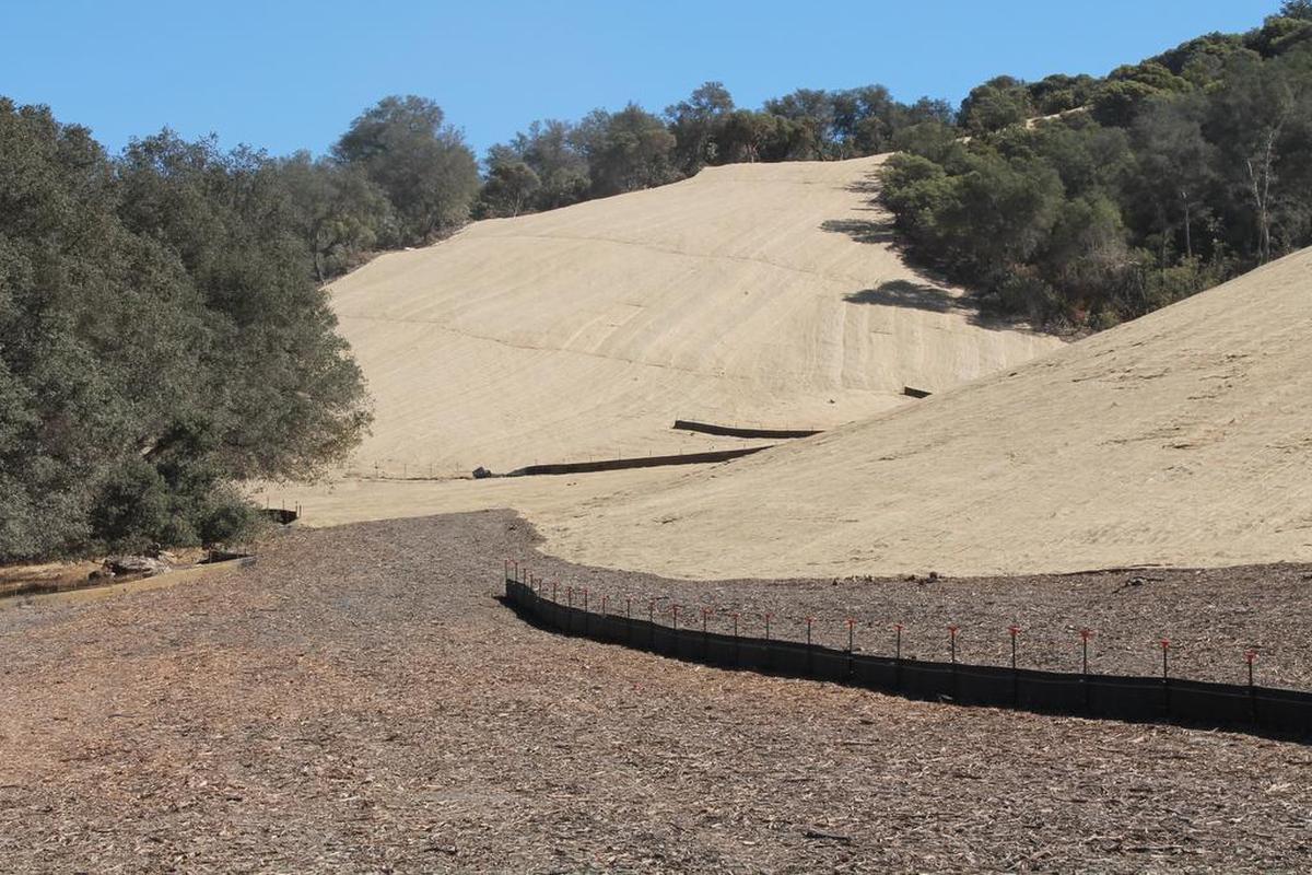 The Justin Vineyards property on Sleepy Farm Road, in October 2016. Jute mats cover seeded hillsides and silt fencing was installed to prevent erosion during the winter rainy season. Cal Poly plans to name a wine and viticulture facility after Justin Vineyards, which donated $2.5 million to the a campaign to build the facility.