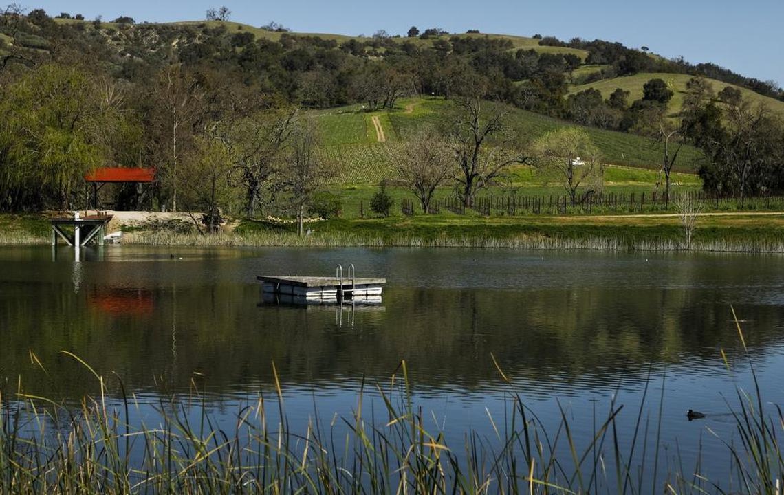 The pond at Halter Ranch Vineyard in Paso Robles is surrounded by rolling green hills.