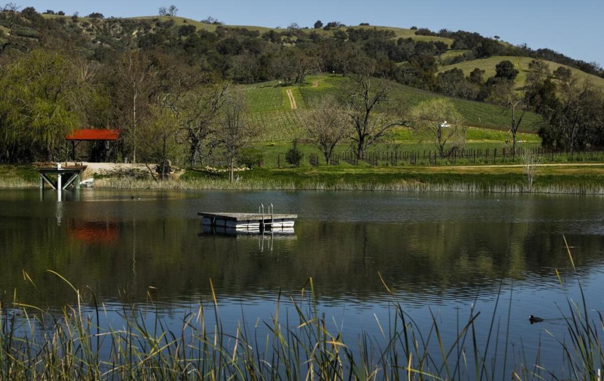The pond at Halter Ranch Vineyard in Paso Robles is surrounded by rolling green hills.