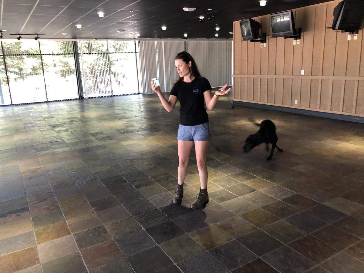 Noelle DuBois conducts a Facebook Live showcasing the new site of Bang the Drum Brewery at 1150 Laurel Lane in SLO. DuBois is the business’ owner.