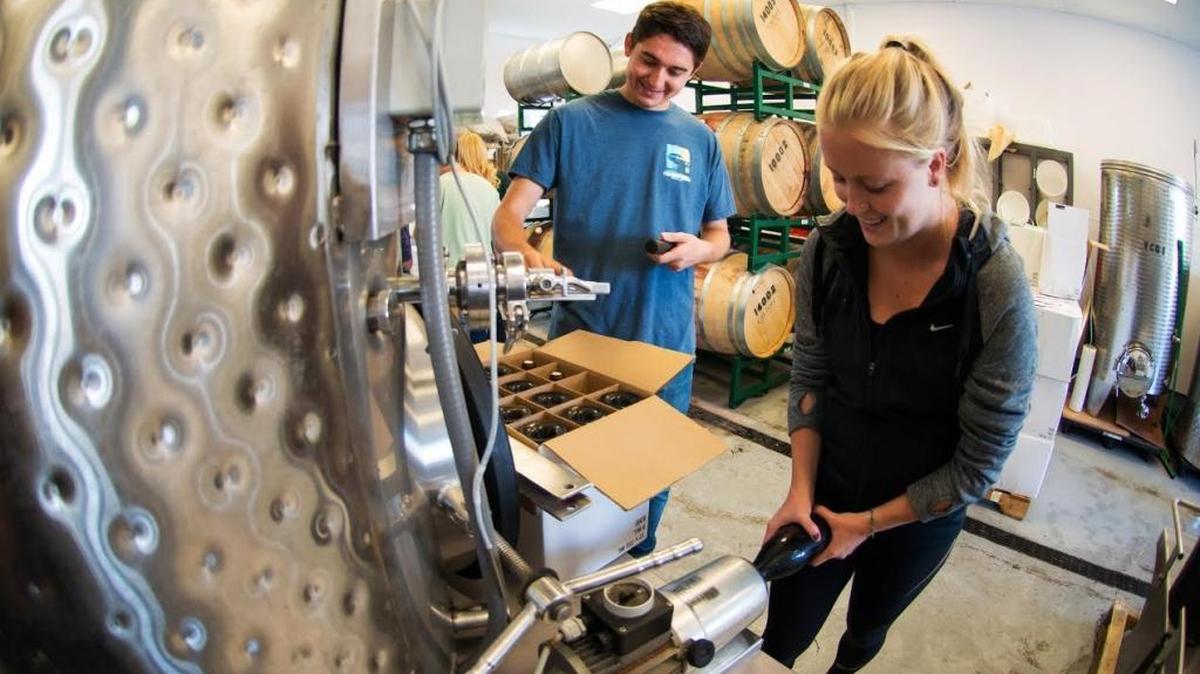 Cal Poly students bottle wine in the university’s small pilot winery on campus. A much larger facility is being planned for the campus as part of a new Wine and Viticulture Center.