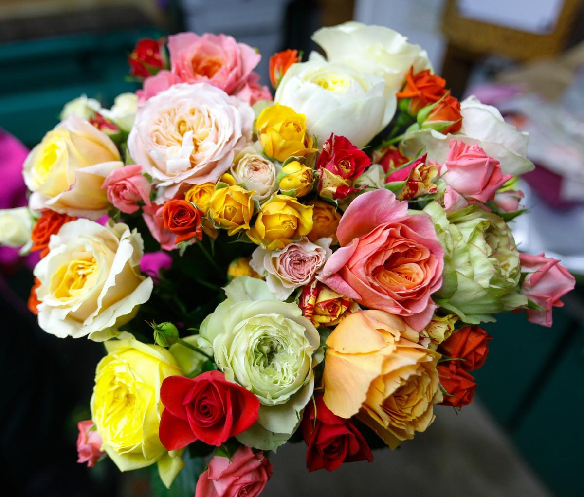Eufloria Flowers in Nipomo produces about 150 different rose varieties.