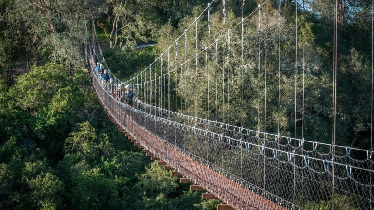 Adventurous patrons cross a suspension bridge at Margarita Adventures.