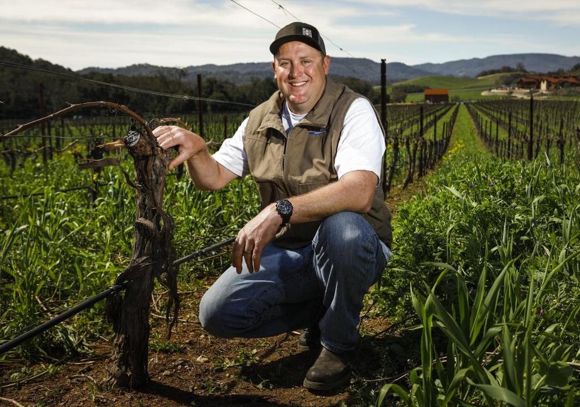 Lucas Pope is vineyard manager at Halter Ranch Vineyard in Paso Robles. He predicts yields from his vineyards will be higher this year.