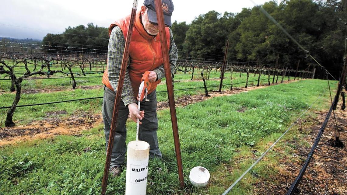 Jeff Pipes of Pipestone Vineyards and Winery in Paso Robles used a weighted tape measure in March 2013 to measure the depth of the groundwater in his vineyard.