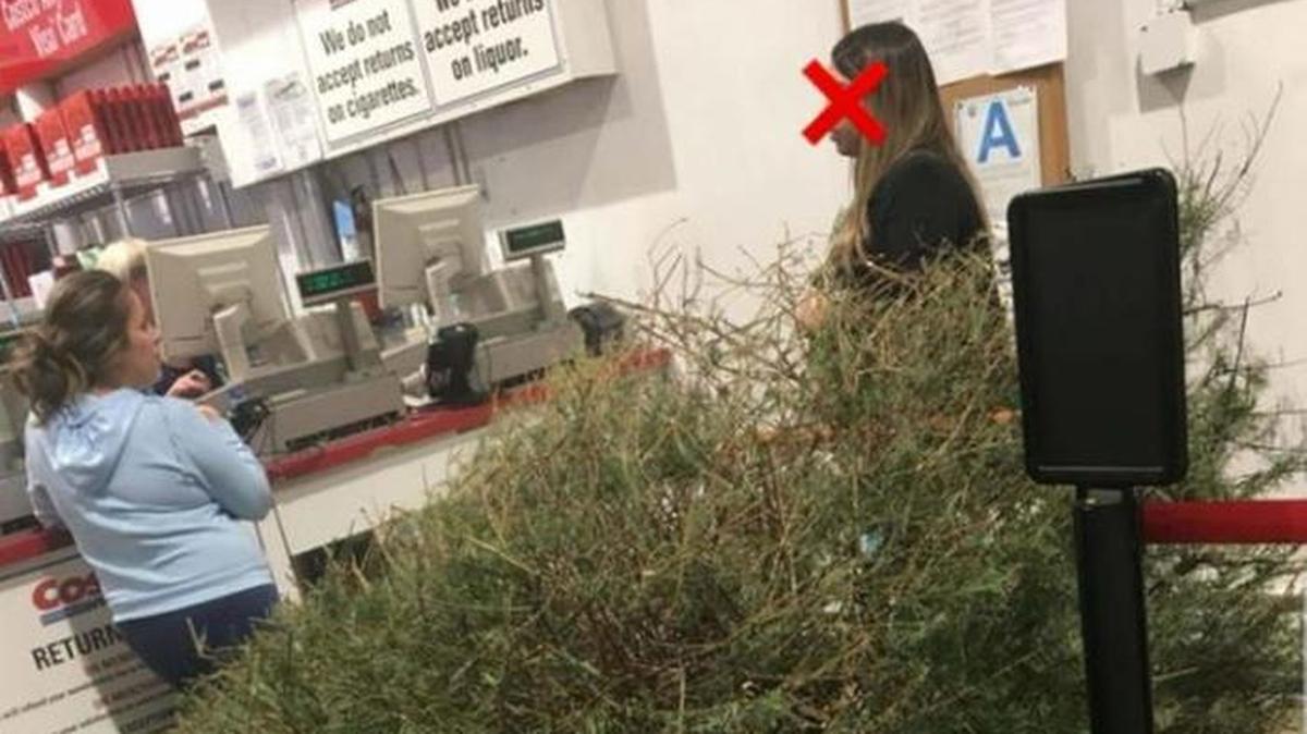 A woman returned her dead Christmas tree to Costco and got a refund on Jan. 4, ABC7 reported.