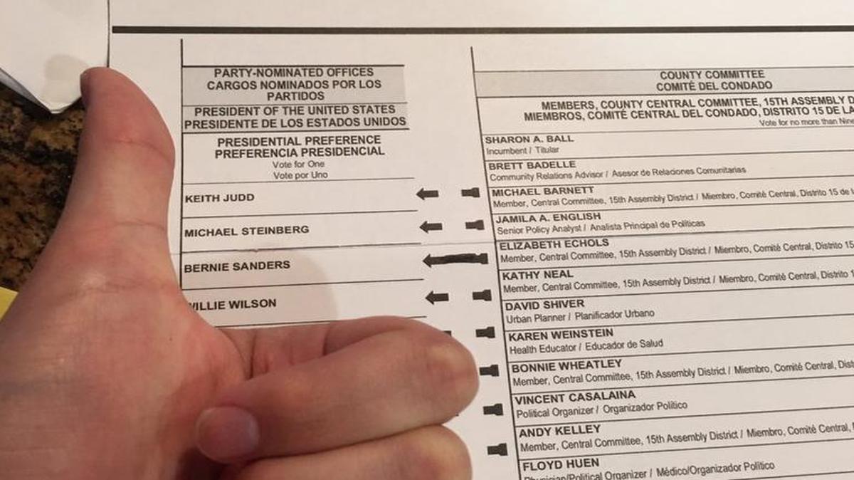 Taylor Huckaby shows off his vote for the June 7, 2016, California primary election.